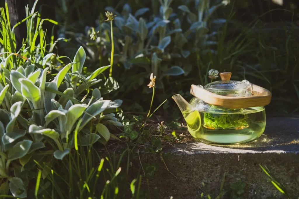 Glass teapot with green liquid in garden