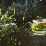 Glass teapot with green liquid in garden