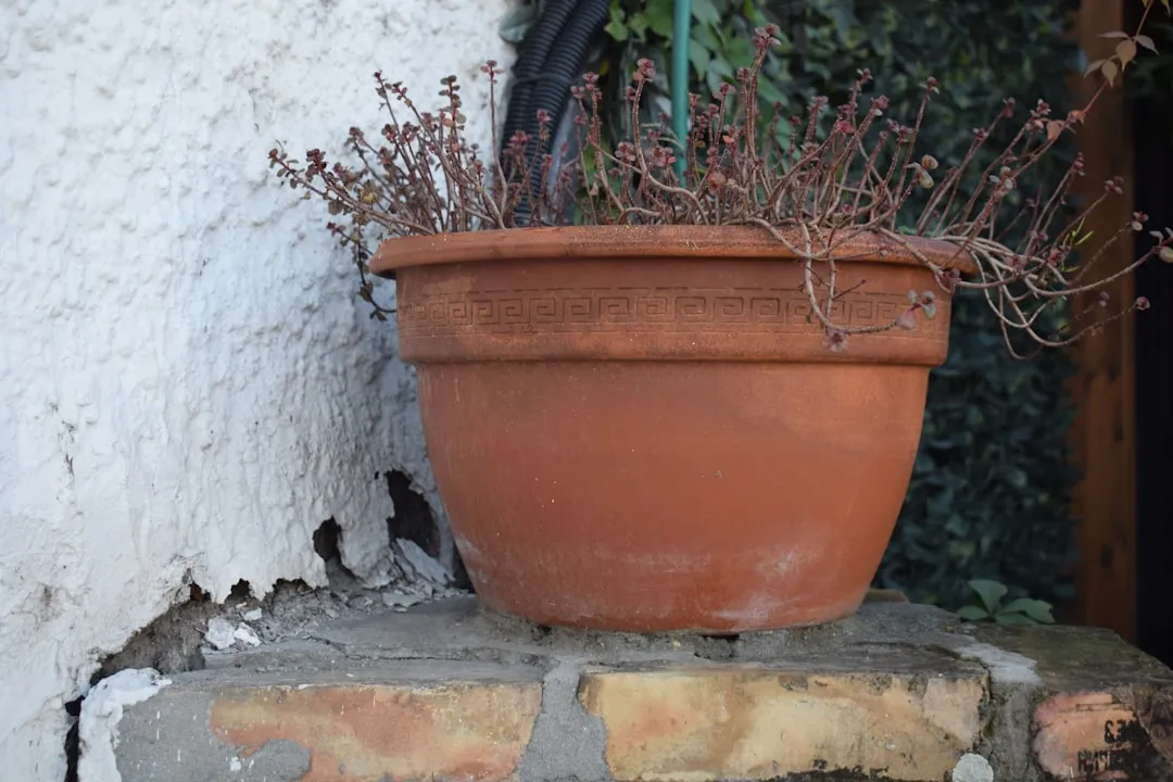 a potted plant sitting on top of a brick wall
