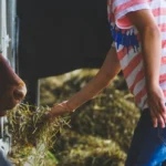 educational farm Toulouse children animals - photo par Susanne Jutzeler, suju-foto