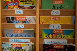 A wooden book shelf filled with lots of books