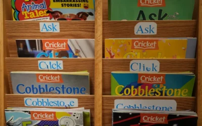 A wooden book shelf filled with lots of books