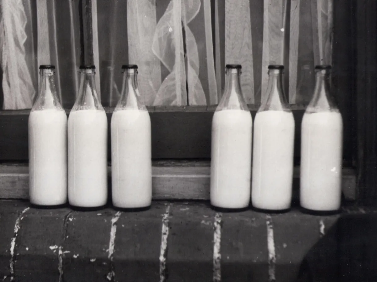 milk bottle label pasteurized UHT - photo par Suzy Hazelwood