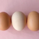 2 brown eggs on pink textile