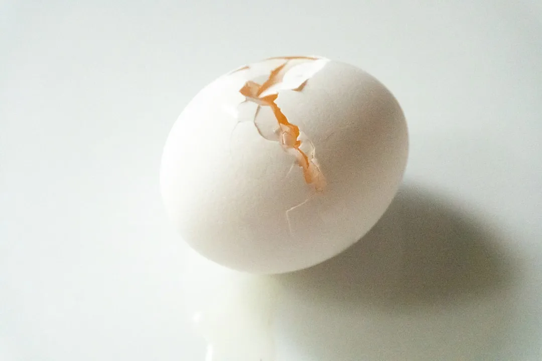 A cracked egg on a white surface.