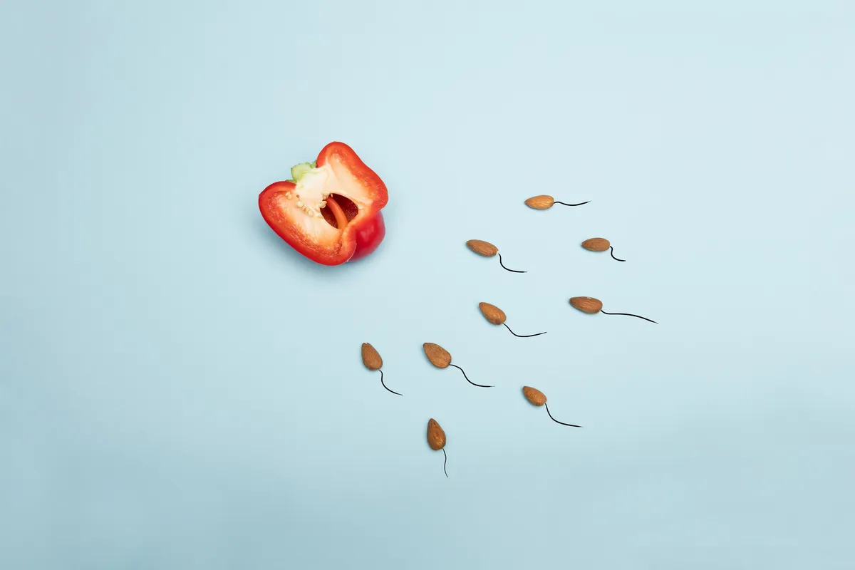 sperm survival cervical-mucus pH smoking - photo par Deon Black