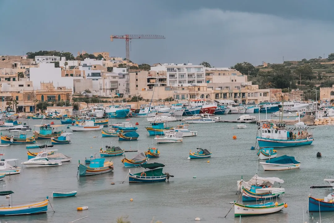 a harbor full of boats