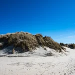 Sandy beach with grassy dunes under a bright blue sky.