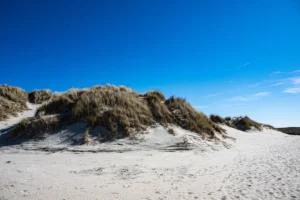 Sandy beach with grassy dunes under a bright blue sky.