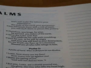 a close up of a book with a poem on it