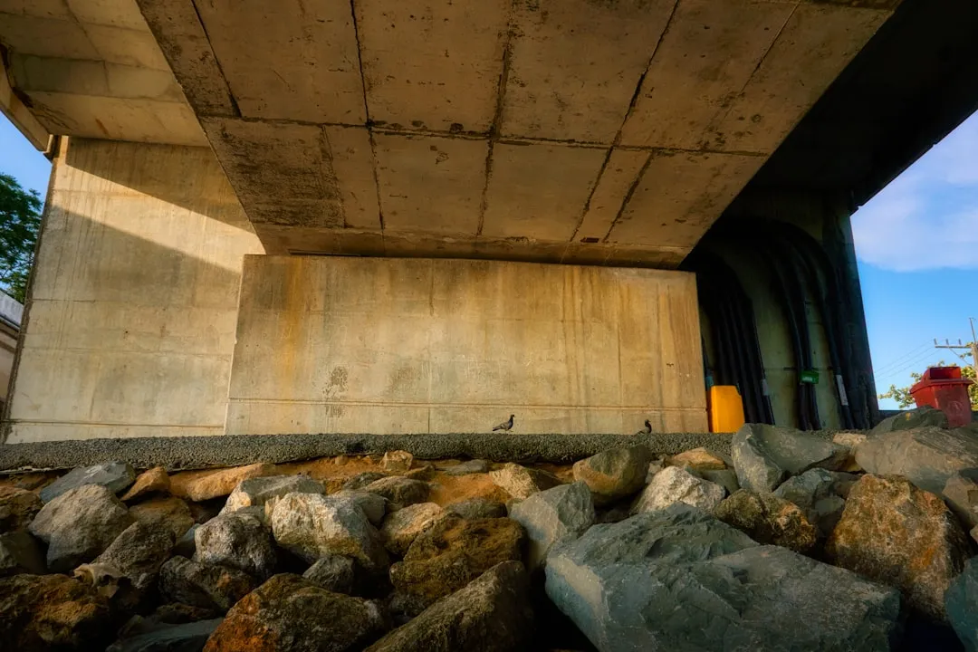 Underside of a concrete bridge over rocks
