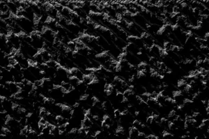 black and white abstract painting