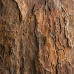 brown tree bark in closeup photography