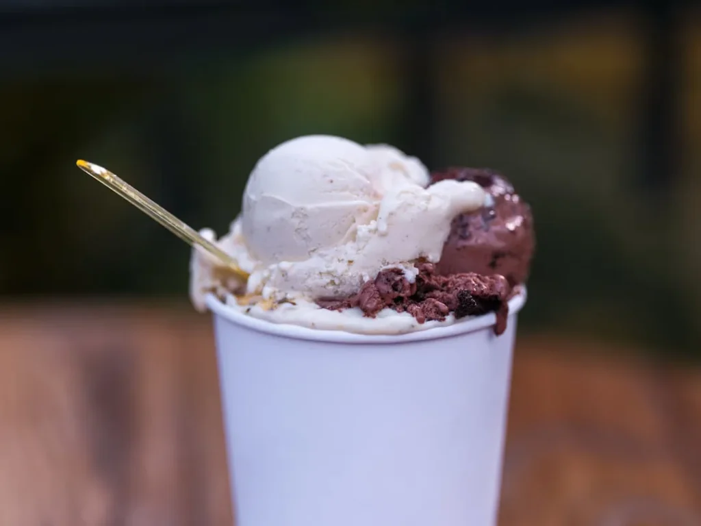 A cup of ice cream with a spoon in it