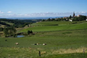 Village overlooks green fields with grazing cows and a pond.